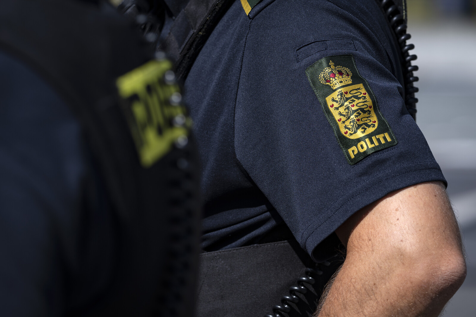 Denmark Seeks Extradition of Swedish Teen in Murder Plot Case