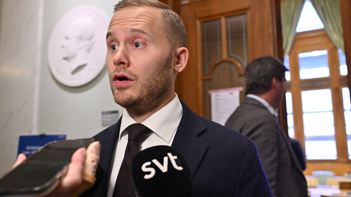 Sweden Democrats Seek Support to