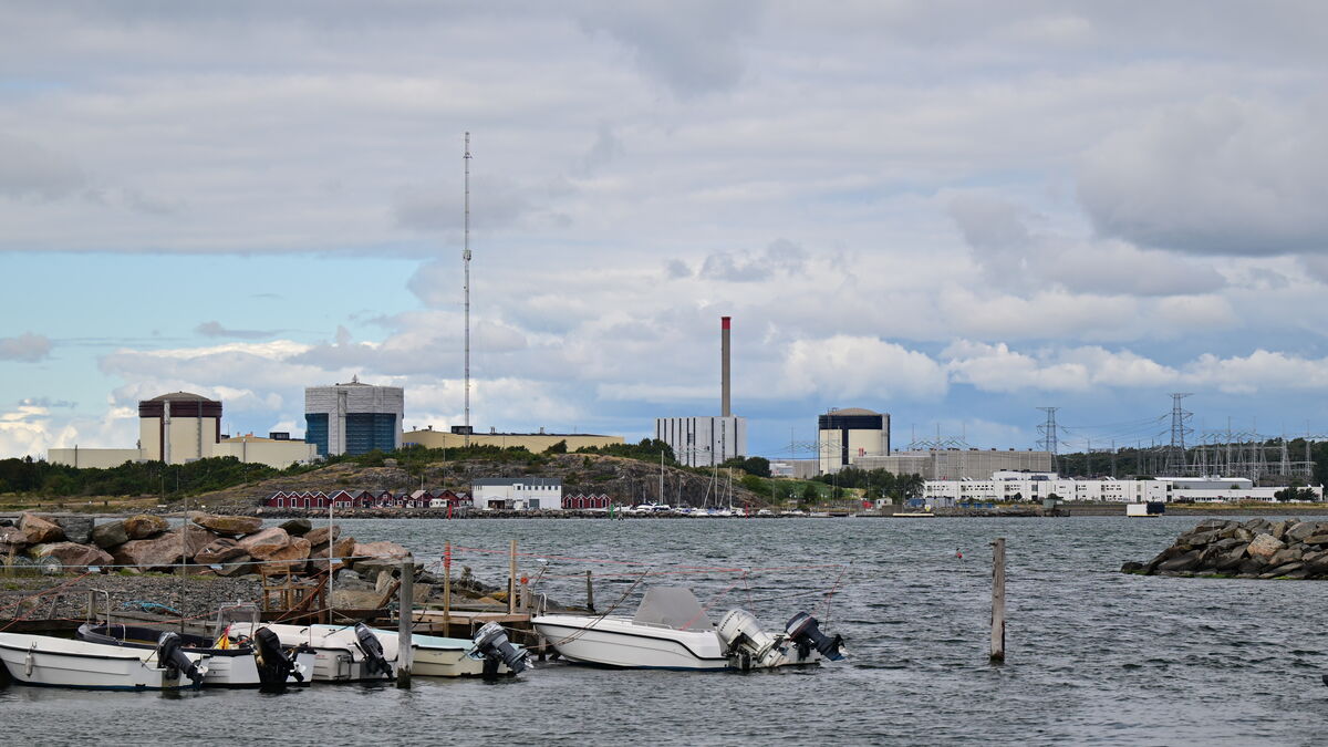 Ringhals' continued problems could push electricity prices higher in southern Sweden