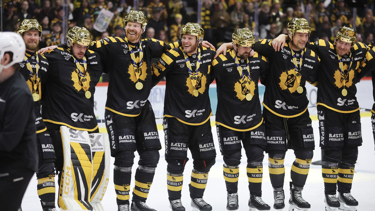 Gold again - Skellefteå's supreme