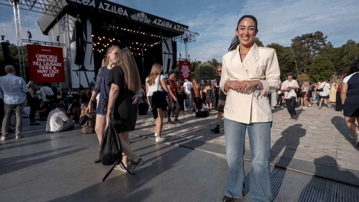 Social Democrats propose festival law to make it easier to organize festivals