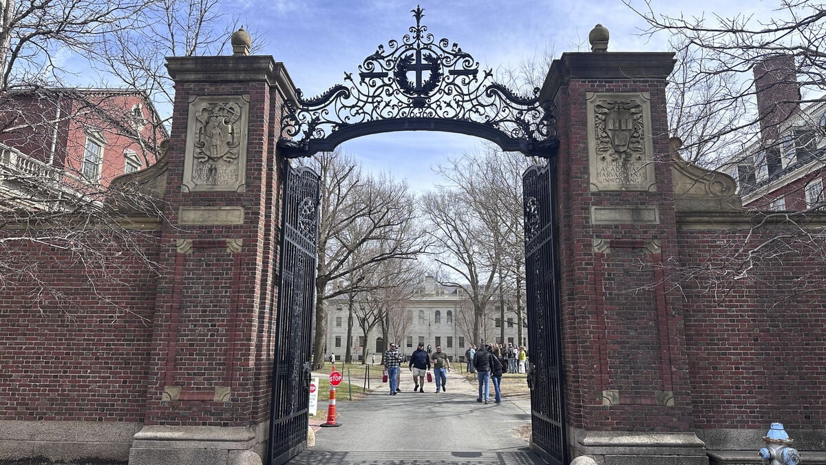 Harvard reaches $53 million settlement over stolen body parts sold from morgue