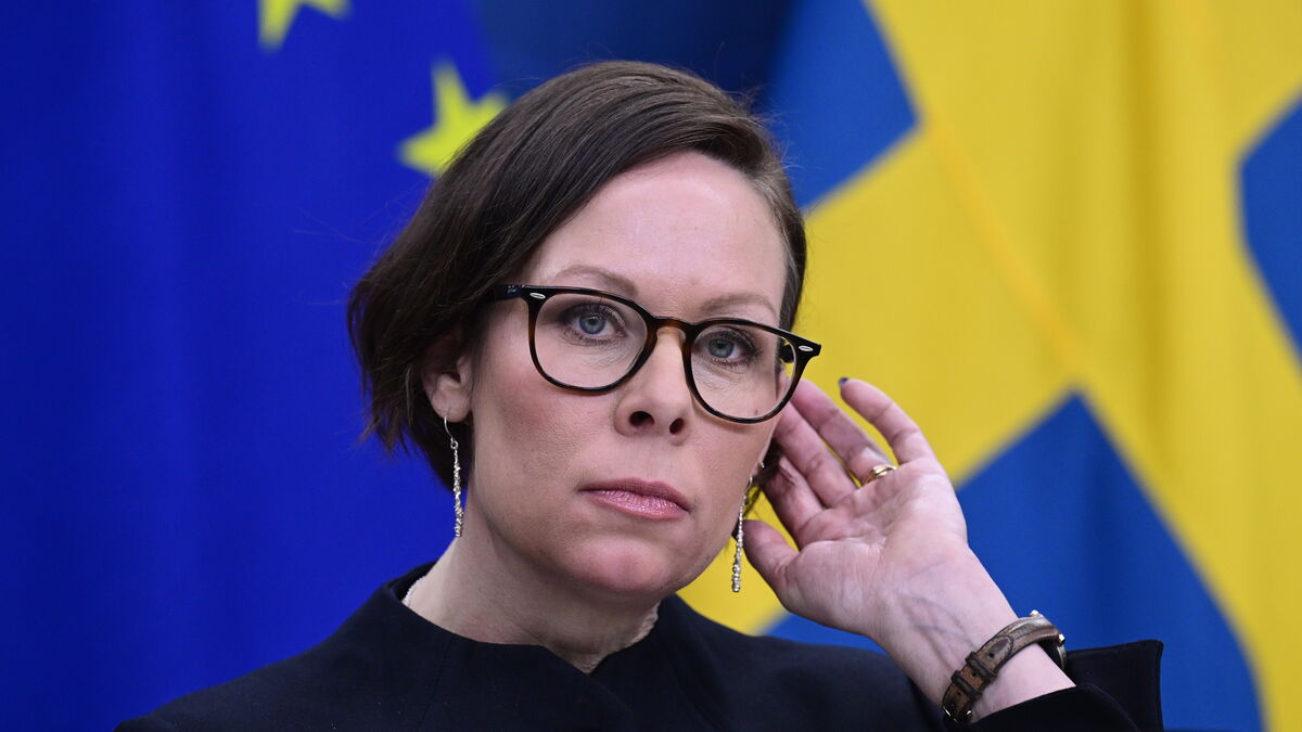 Stenergard says clear plan missing