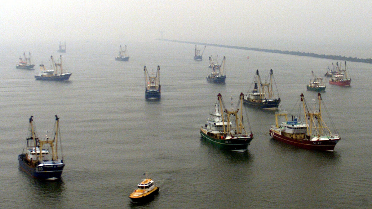 Warning of fishing chaos over