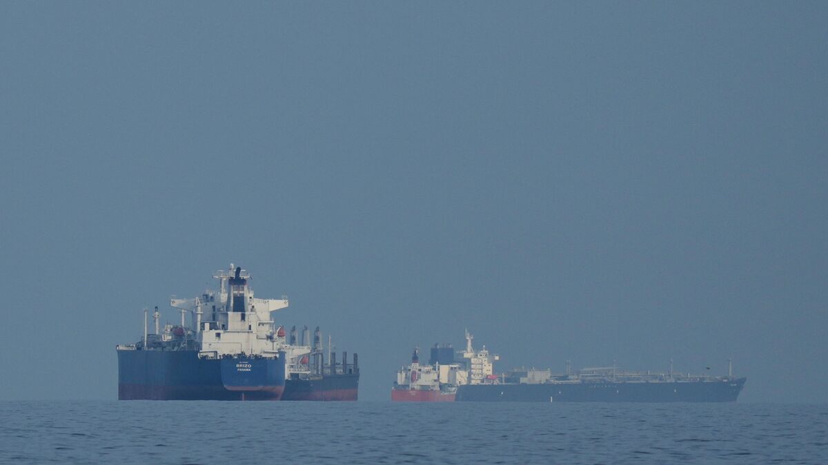 20 Pakistani ships allowed to pass through Strait of Hormuz