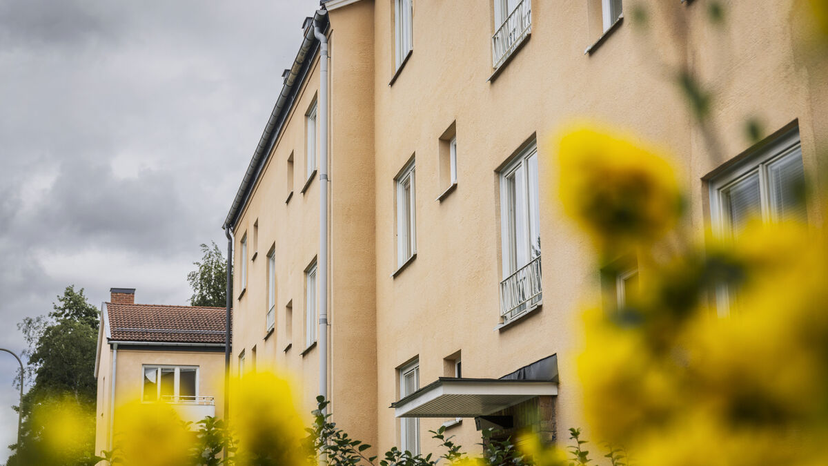 More people believe housing prices will rise as market shows thaw