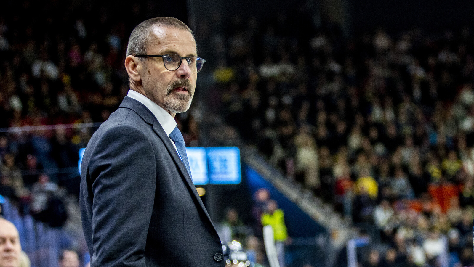 Tommy Samuelsson Appointed Head Coach of Timrå in SHL