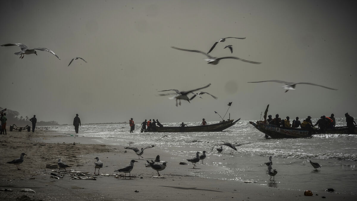 Boat heading to Europe sank,