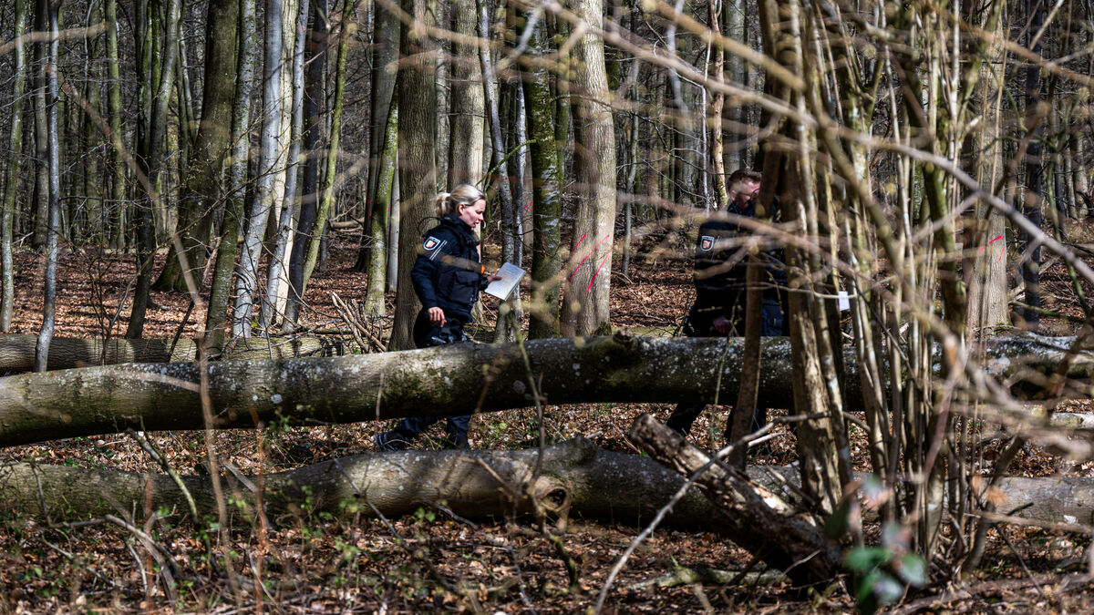 Tree fell during German Easter