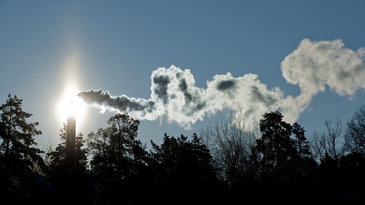 More forest fires, increased mortality linked to emissions