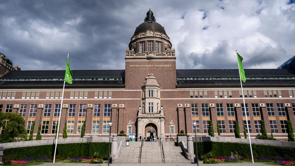 Four of nine state museums