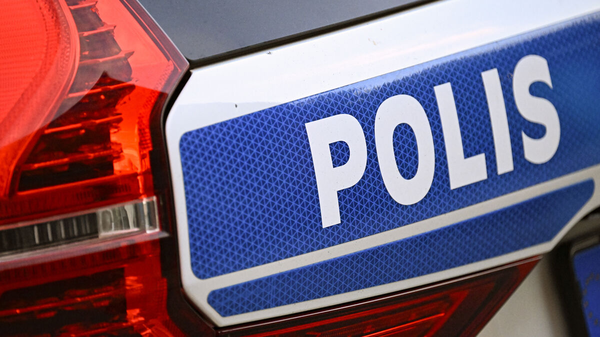 Over 40 dogs lived in misery in Östergötland County in 2024 - woman charged