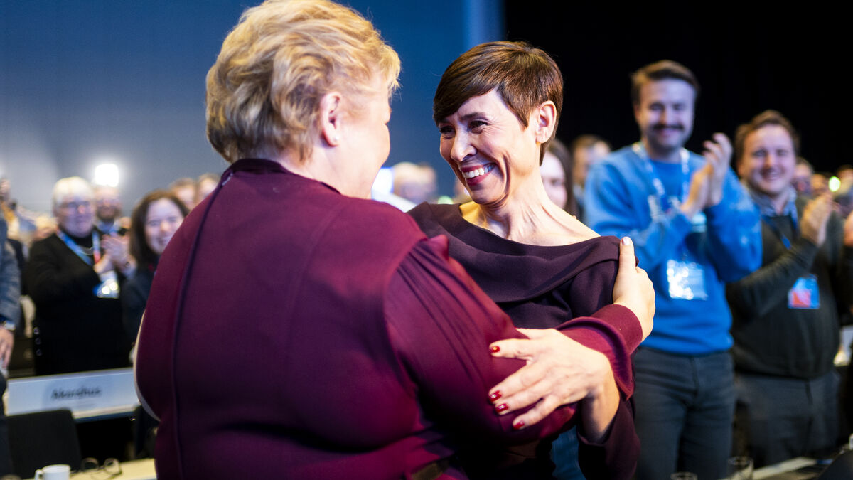 New Norwegian Conservative Party leader