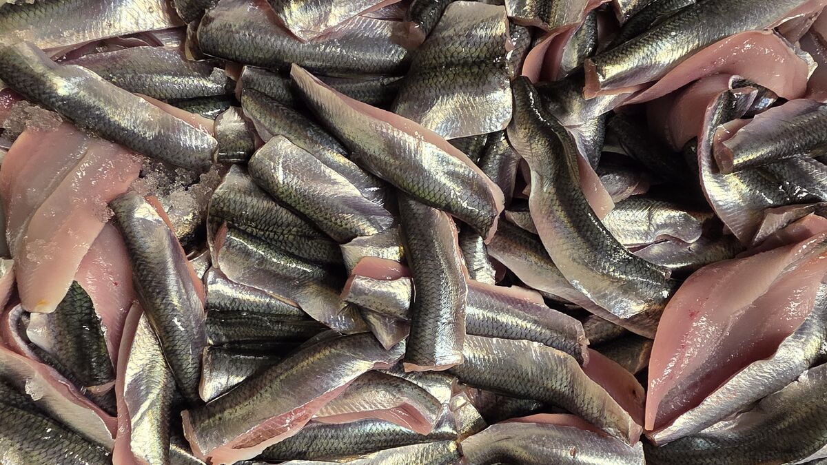 Norrlandsströmming receives EU protected designation
