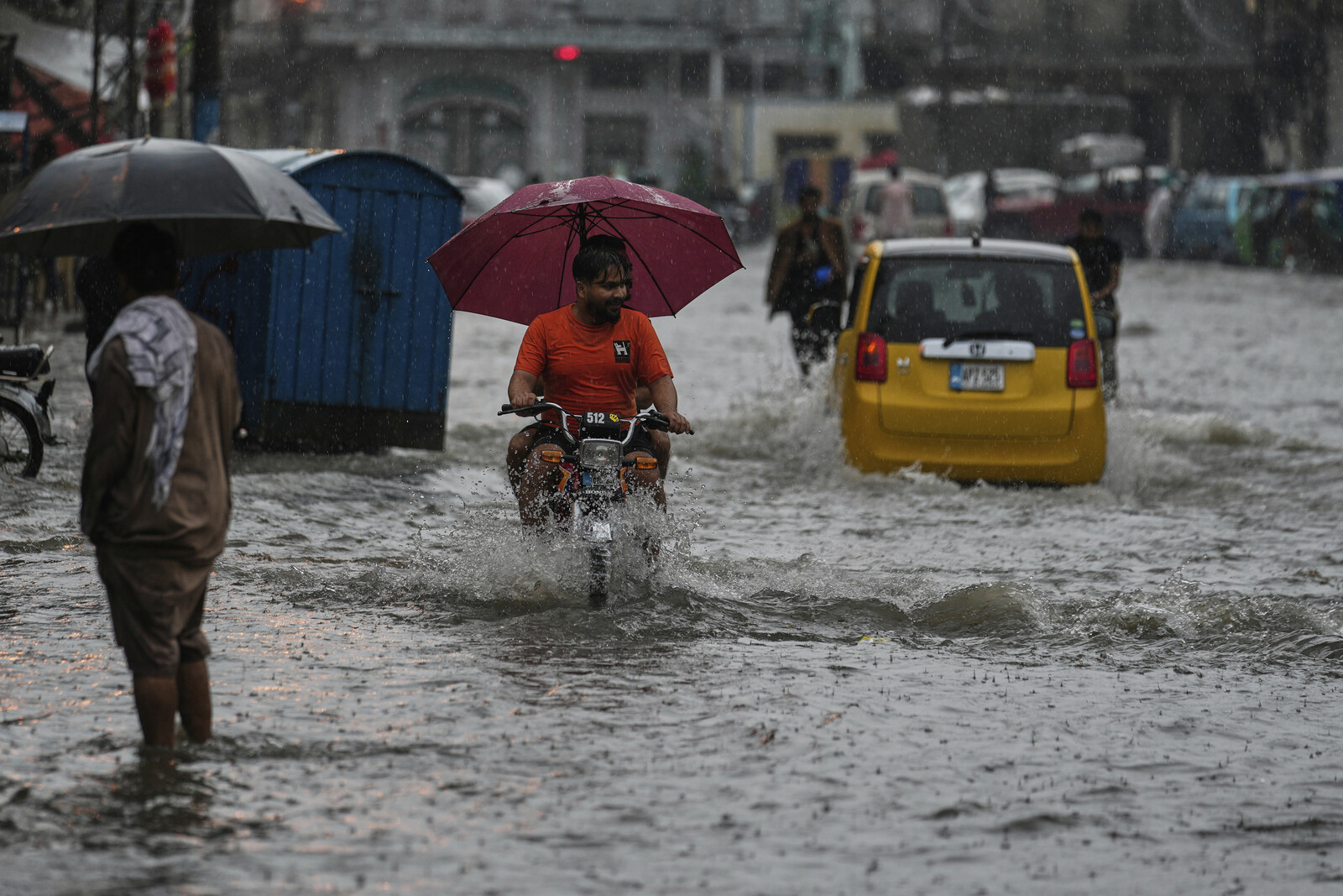 Monsoon Rain in Pakistan Leaves