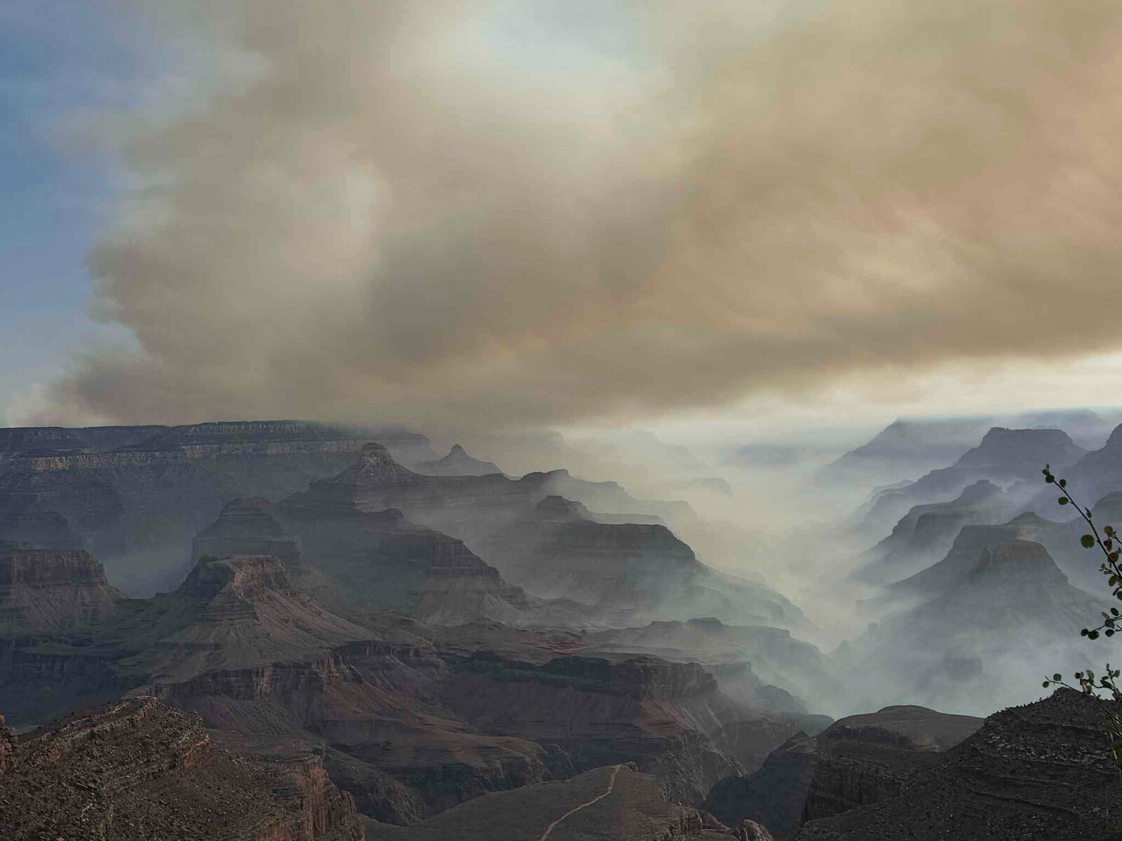 Grand Canyon Wildfire Destroys Dozens