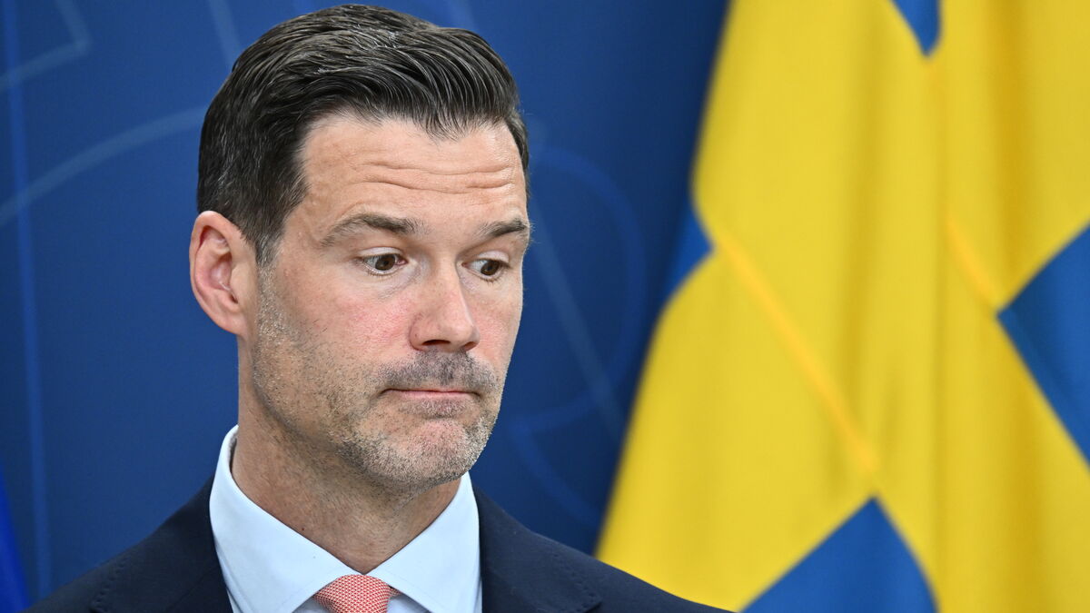 Social Democrats Report Migration Minister