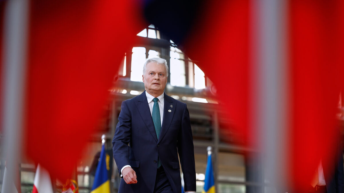 Lithuania weighs constitutional change to