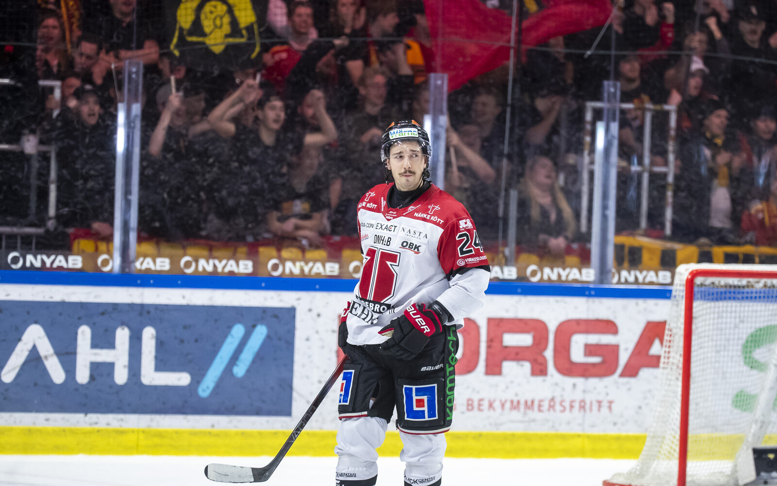 Banned for four matches – Dahlén misses the European Championship