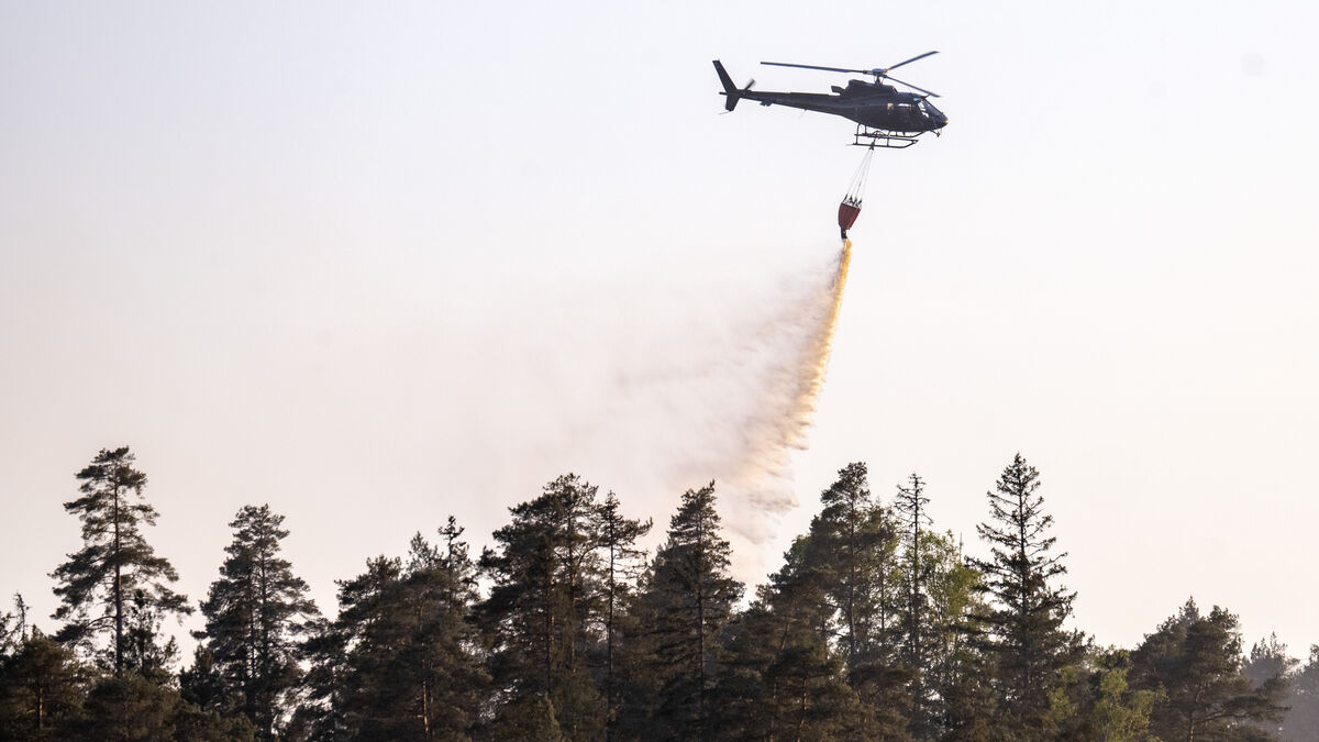 Extreme wildfire risk in parts