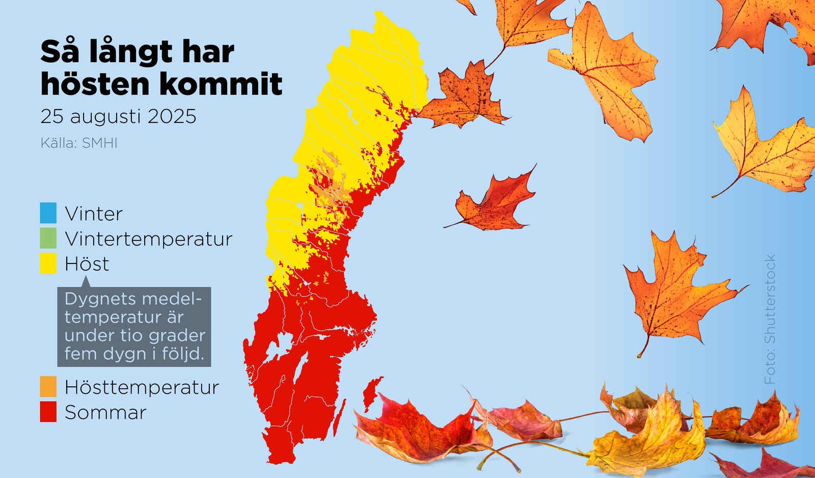 Autumn's Progress Slows as Warmer Nights Arrive