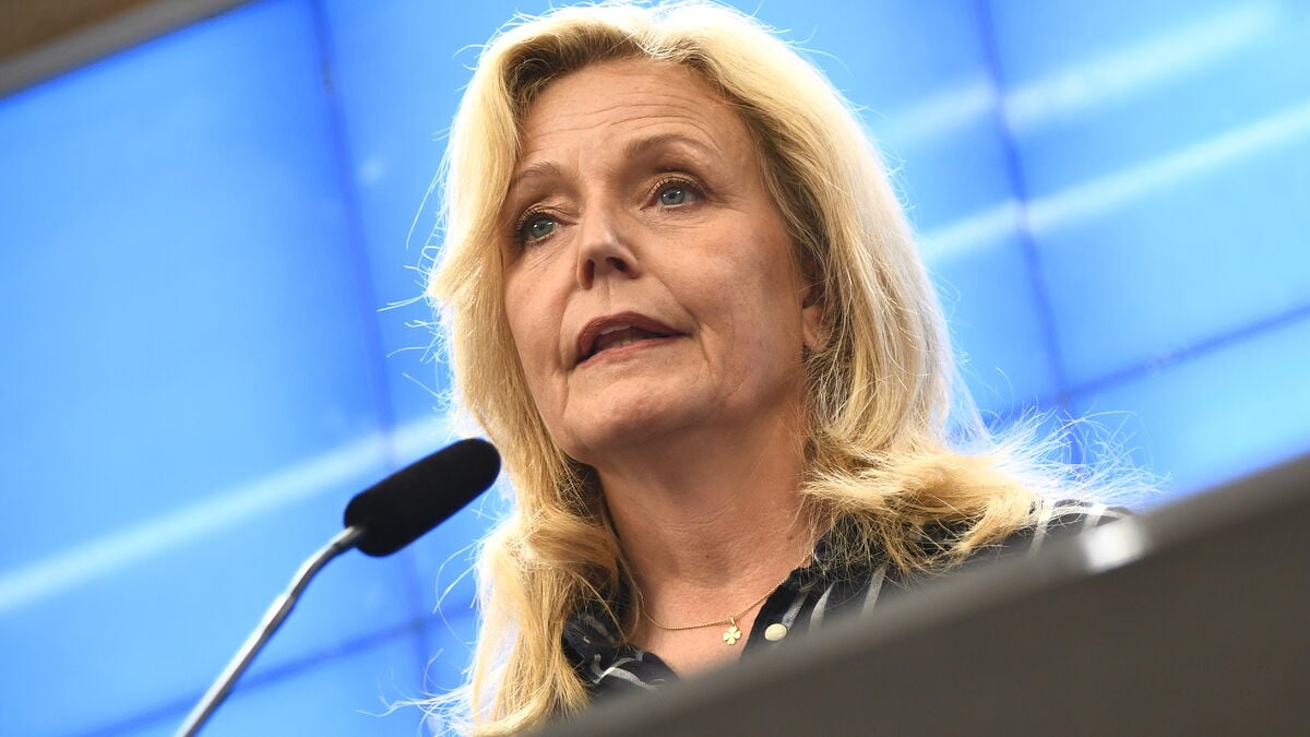 Center Party wants to scrap Sweden’s wage floor for labour immigration