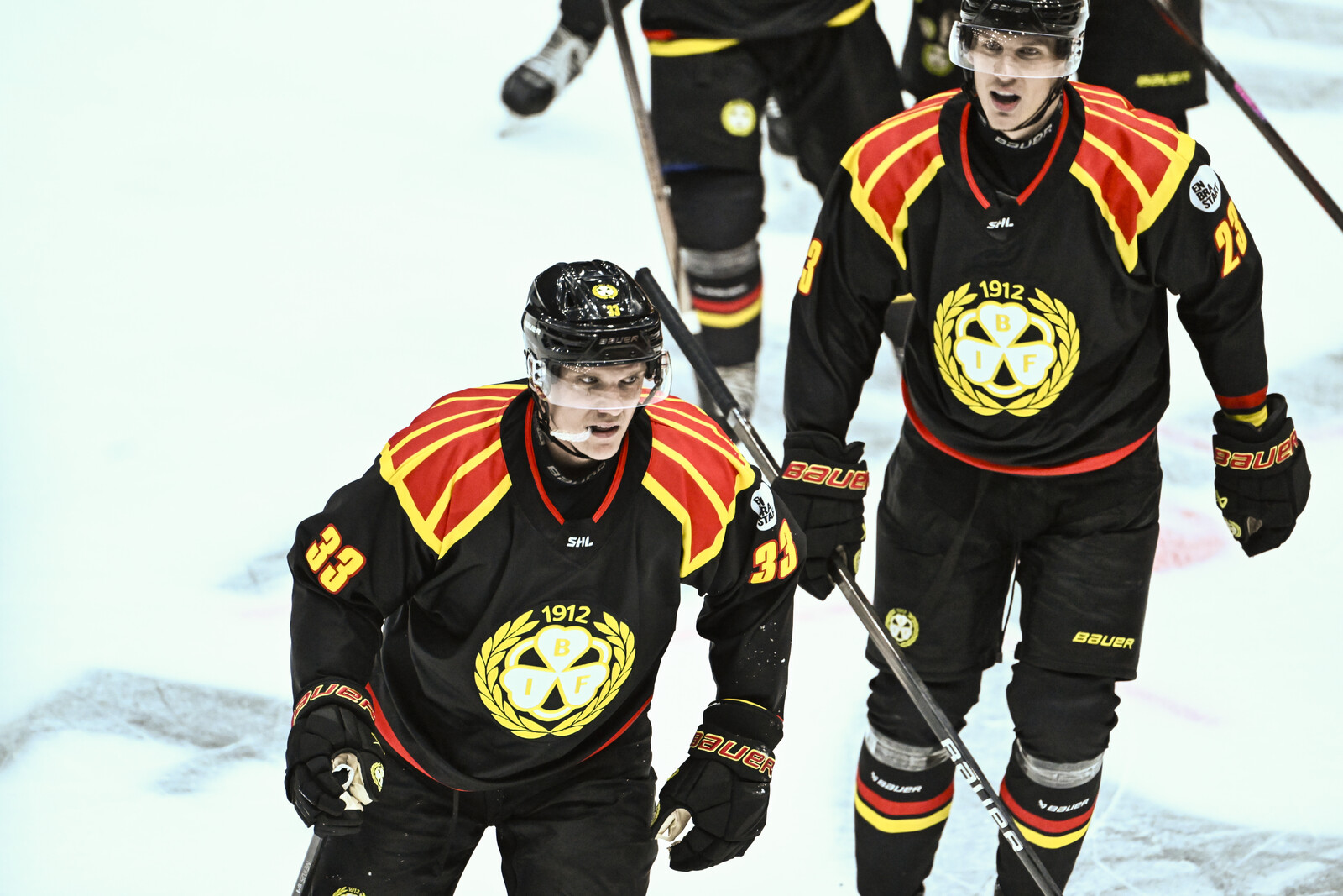 Brynäs' success: the best newcomer