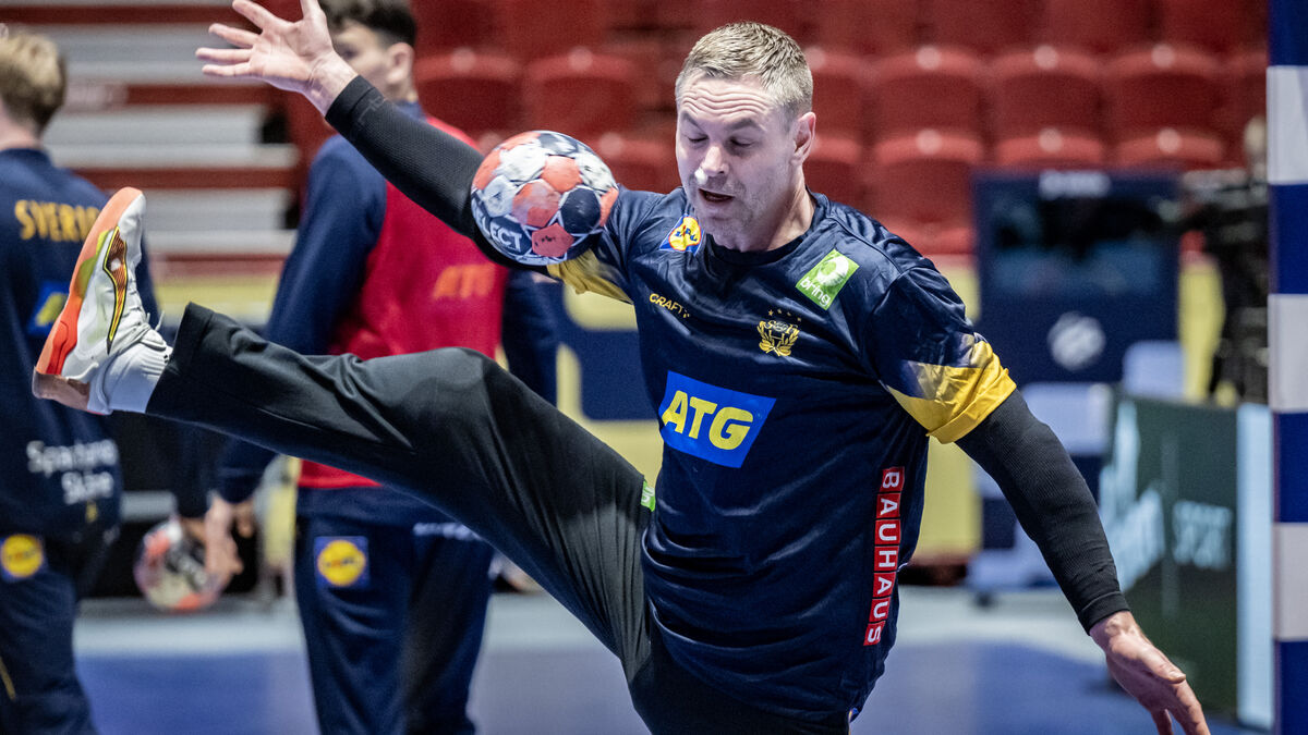 Sweden captain Andreas Palicka cleared