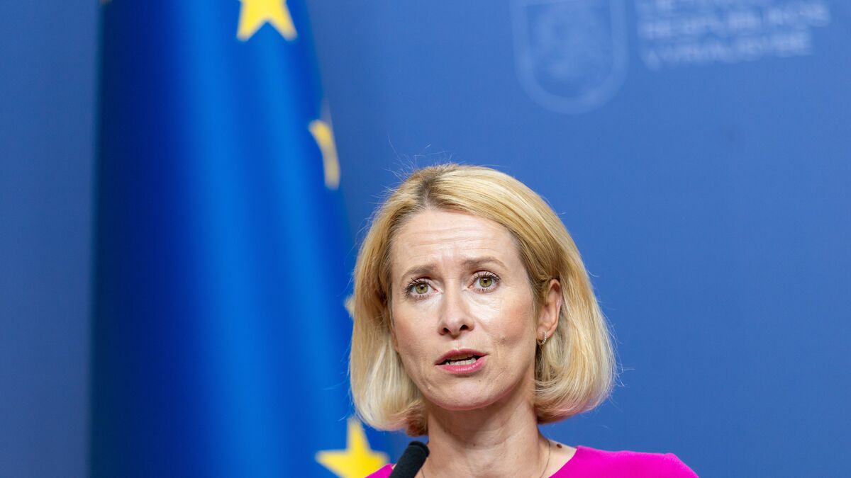 Kallas calls for more ships
