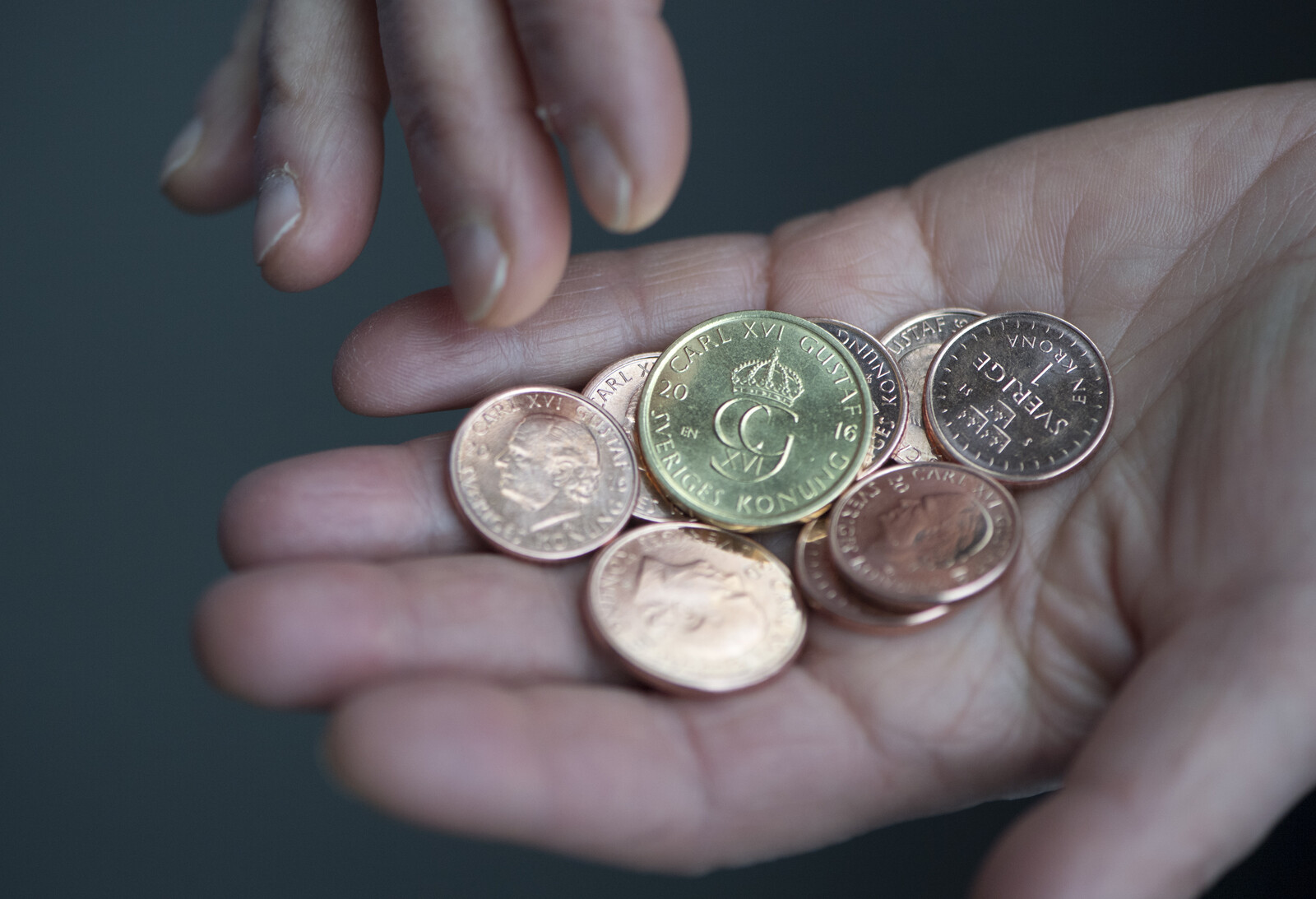 Swedish Students Struggle with Tight Budgets Despite Study Support