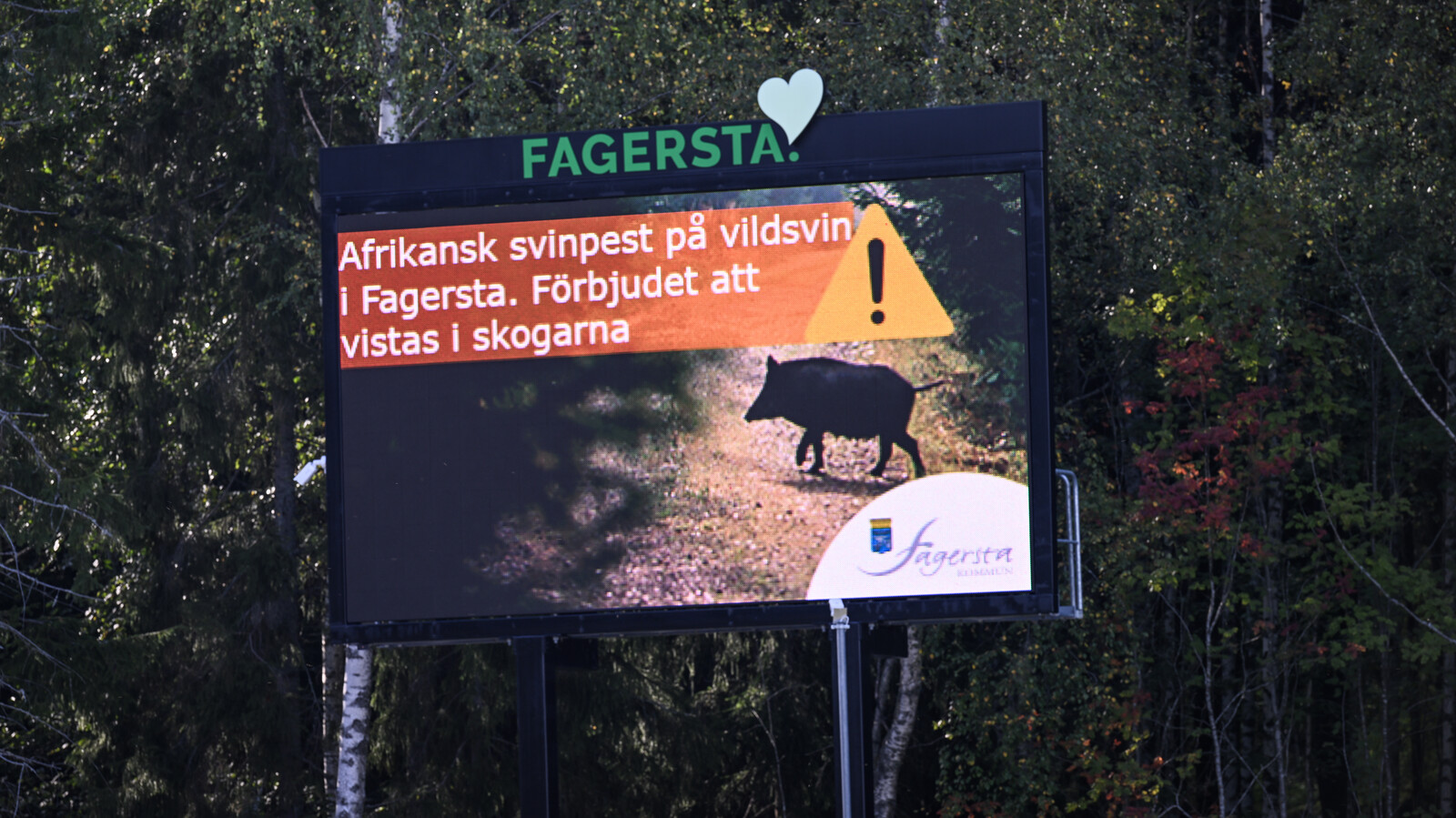 Sweden declared free from African