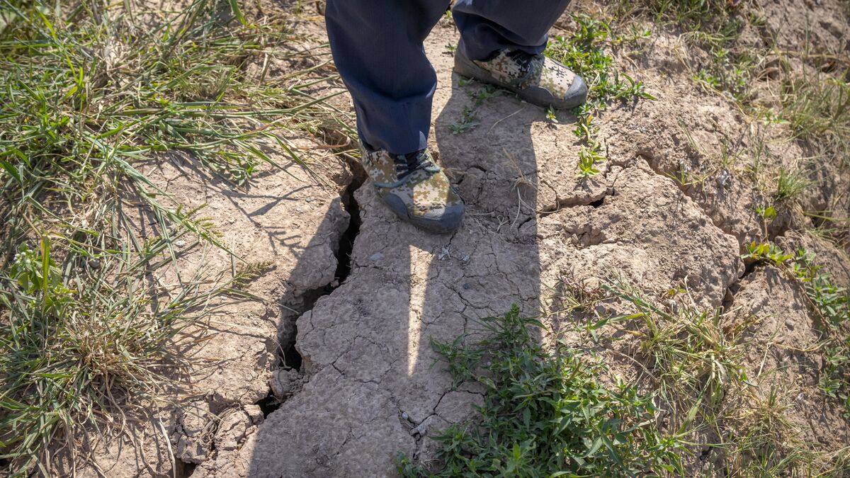 Asian drought pushes rice prices