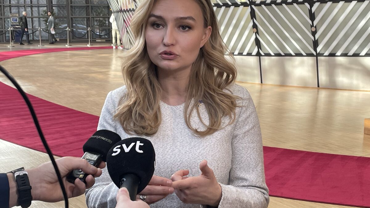 Busch threatens Denmark - says Sweden is on the verge of becoming evil