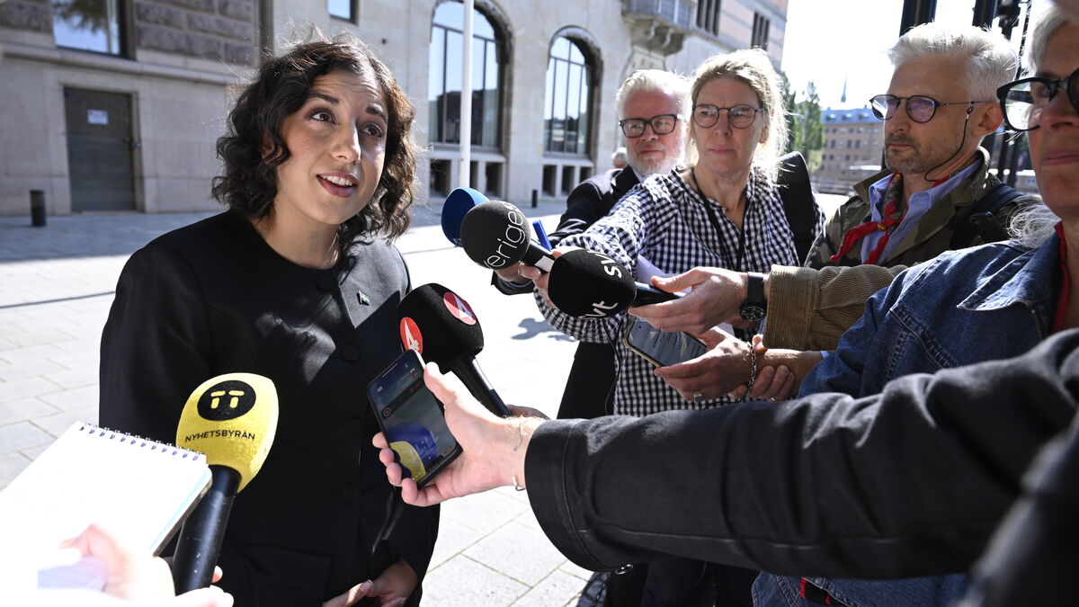 Mohamsson: Åkesson cannot become a minister without the Liberals’ support
