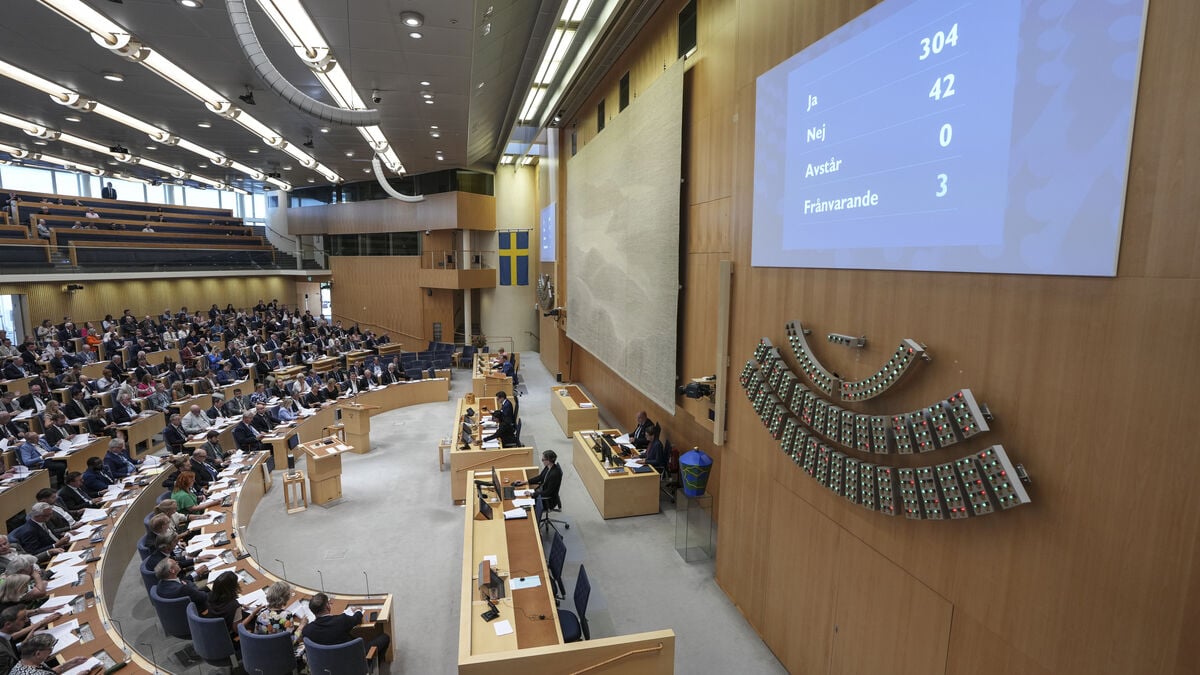 Riksdag group wants social media monitoring for threats against politicians