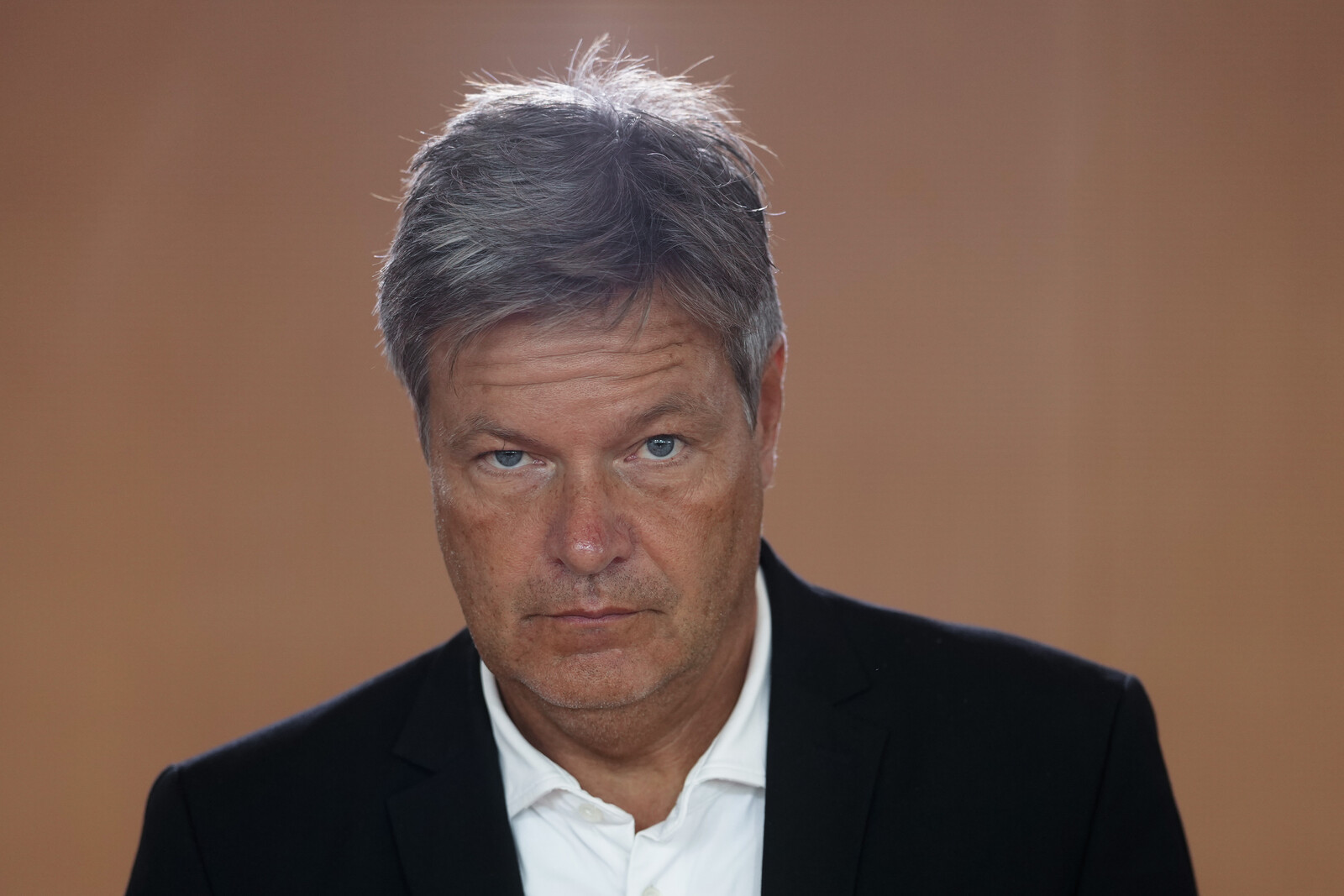 German Minister Robert Habeck Considers Support for the Car Industry
