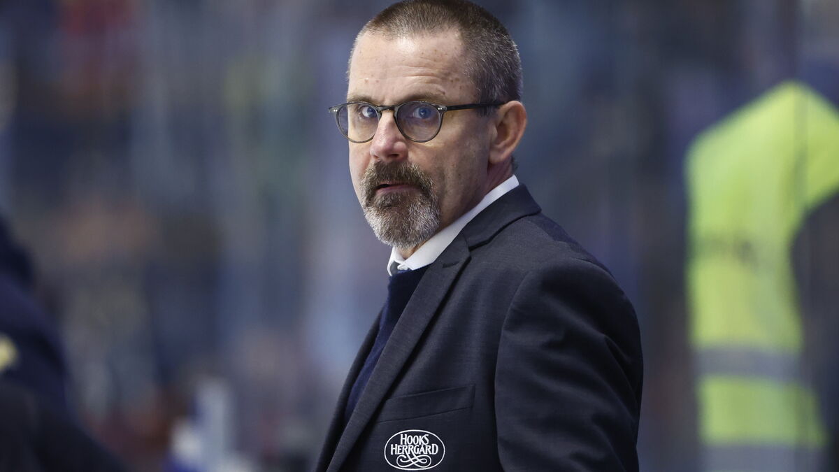 Tommy Samuelsson appointed Denmark hockey
