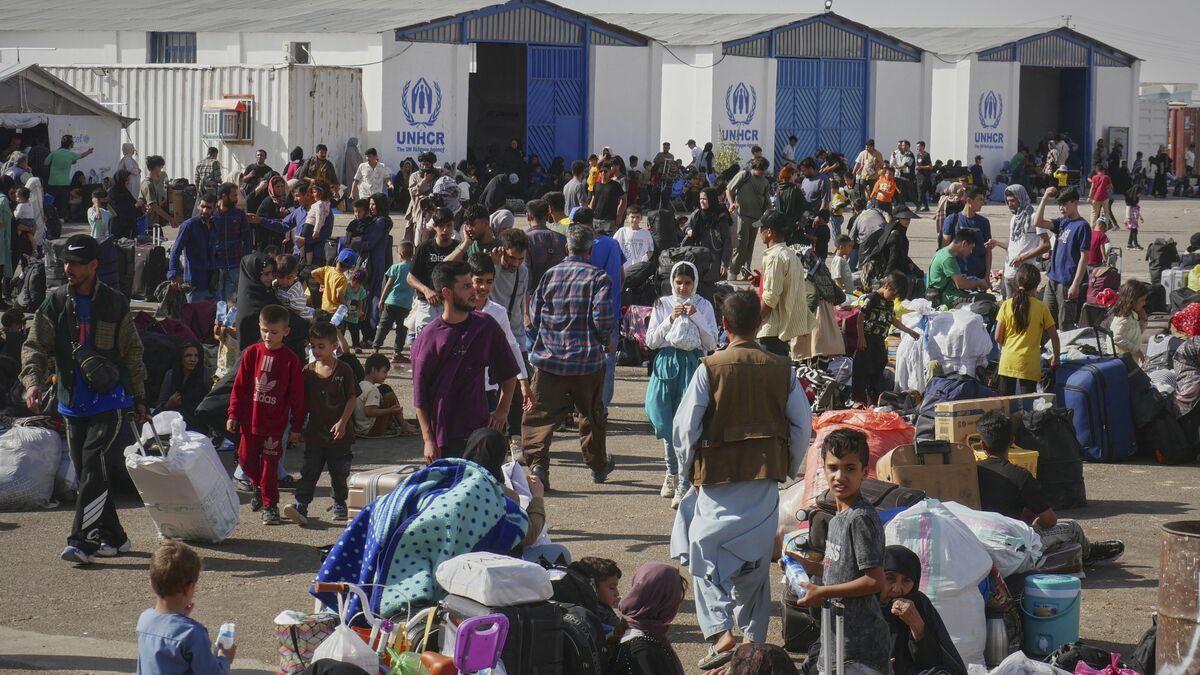 Discrimination causes UN to halt
