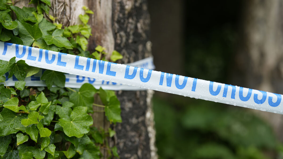 Several people stabbed on train