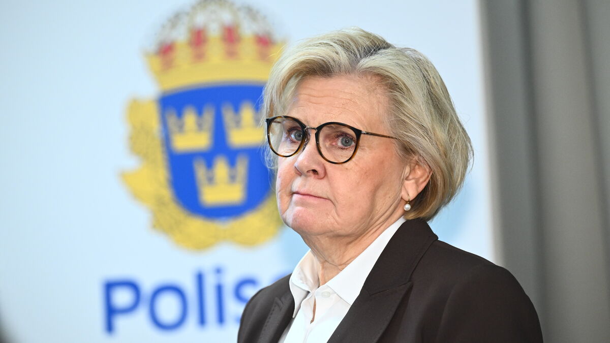 Details: Attempted burglary at national police chief Petra Lundh's residence