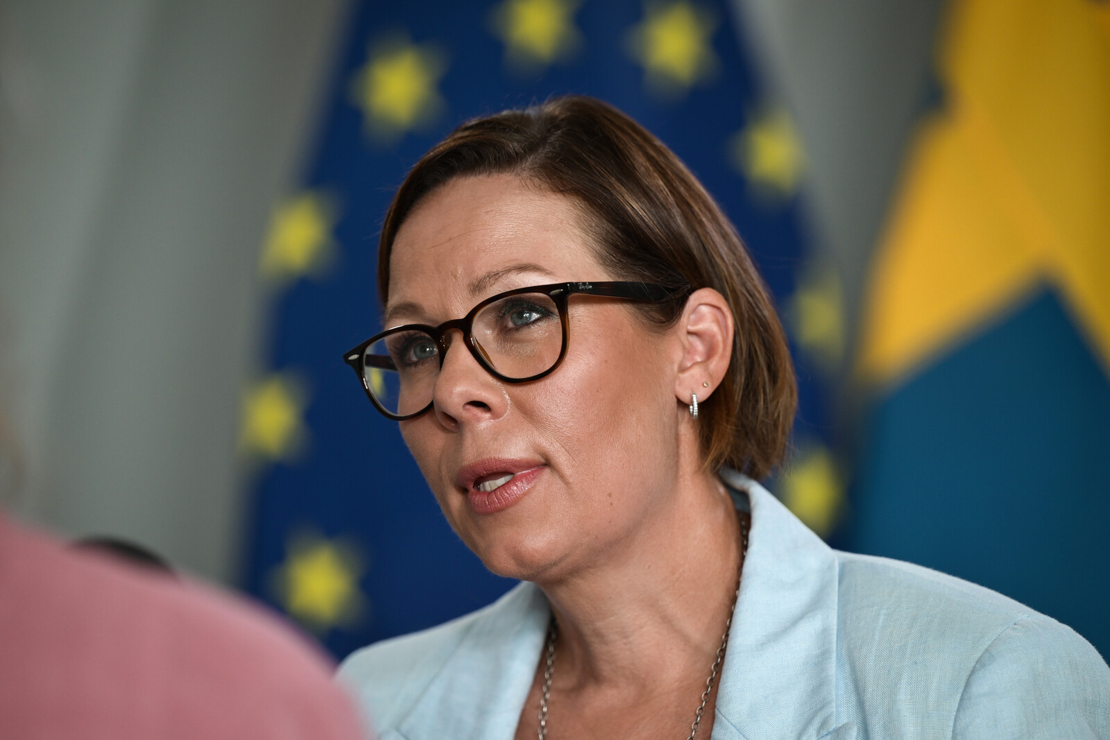 Sweden Urges EU to Freeze