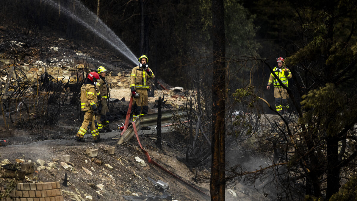 Many evacuees search for missing pets after Norway wildfire