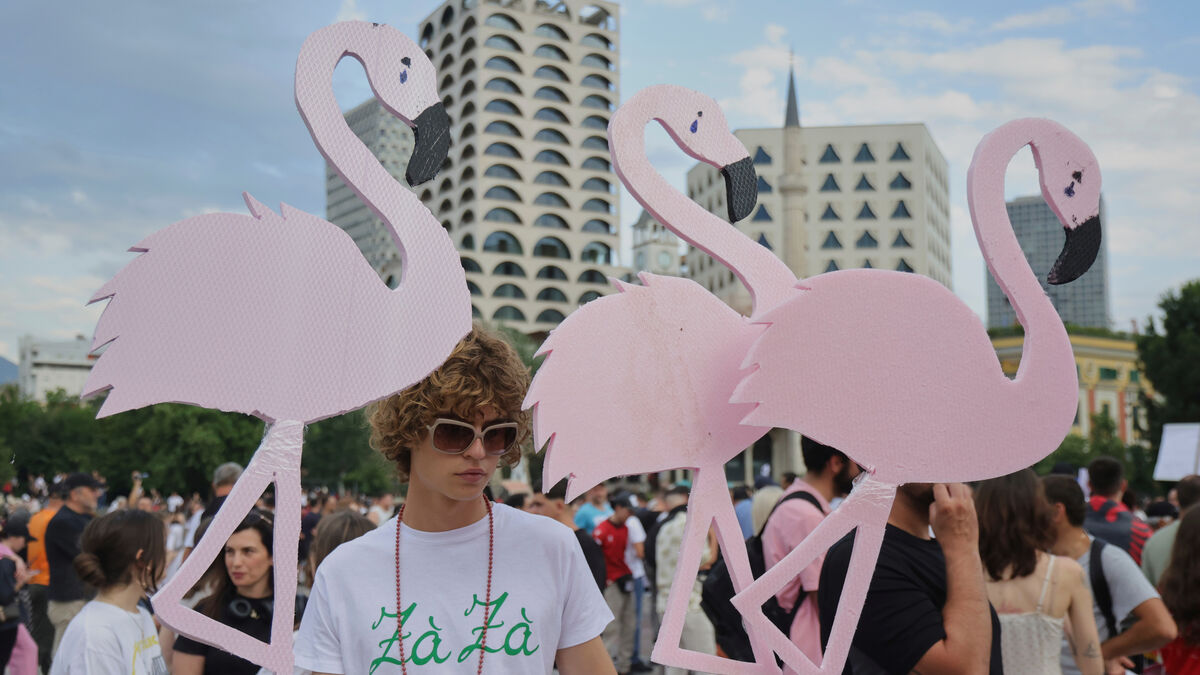 Flamingo protests against Kushner-invested hotel in Albania