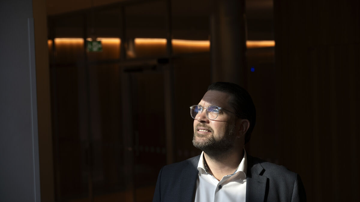 Åkesson: Here are the Sweden Democrats' new red lines