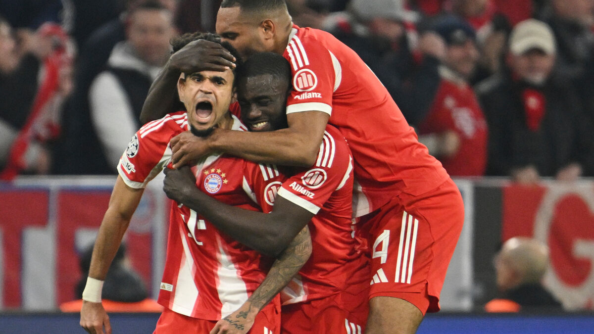 Photographers injured in Champions League quarter-final between Bayern Munich and Real Madrid, supporters apologize