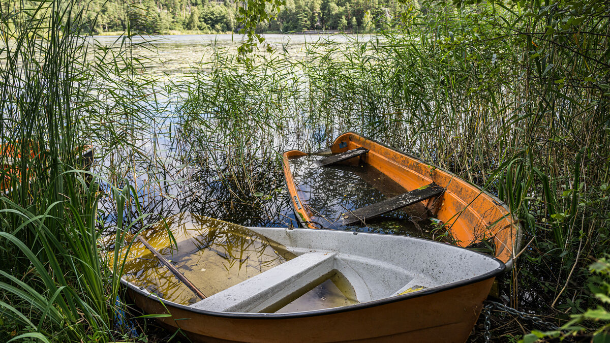 The municipality got tired –