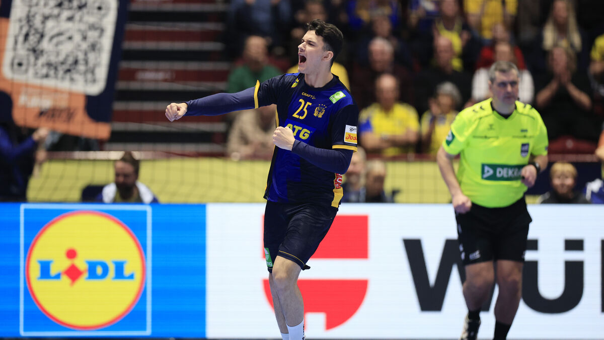 Roganovic says he will never refuse responsibility | Sweden Herald