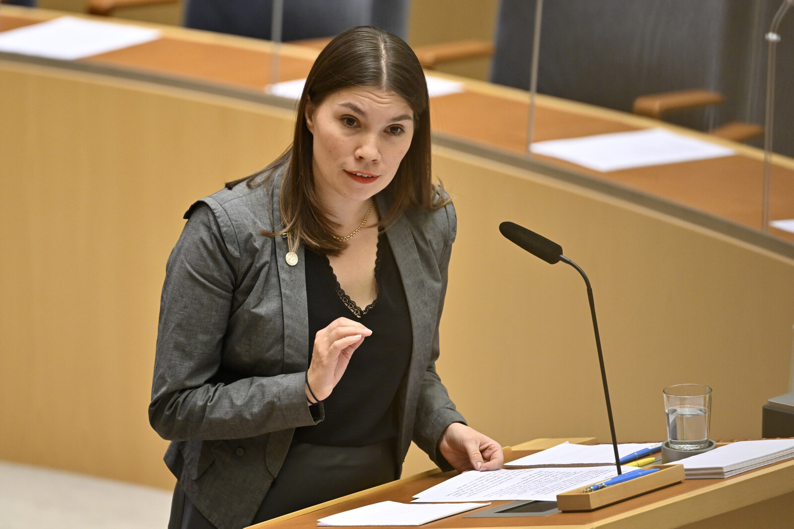The Green Party reports the government to the Constitutional Committee for migration requirements
