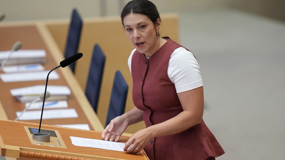 Social Democrats want to double probation for sex offenders in Sweden