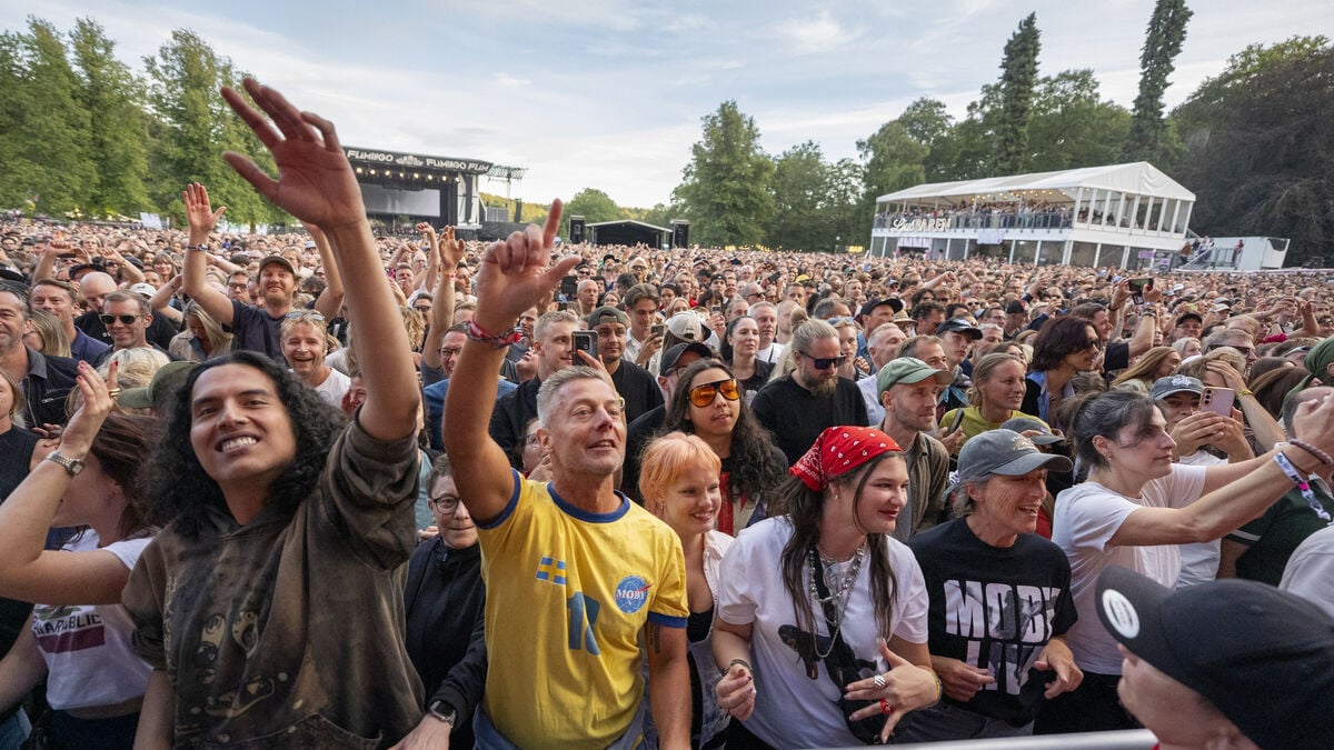 Police warn of fake Way Out West festival tickets in Halland